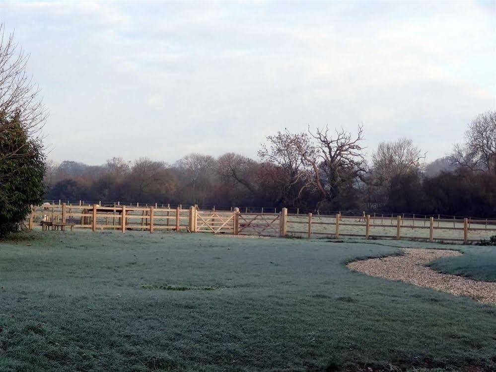 مبيت وإفطار East Pennard Huxham Farmhouse المظهر الخارجي الصورة